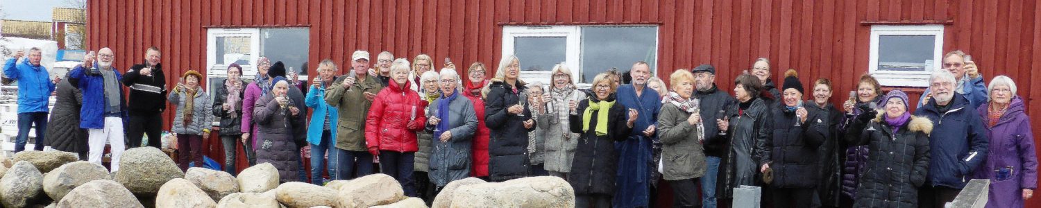 Nivå Pingvinerne